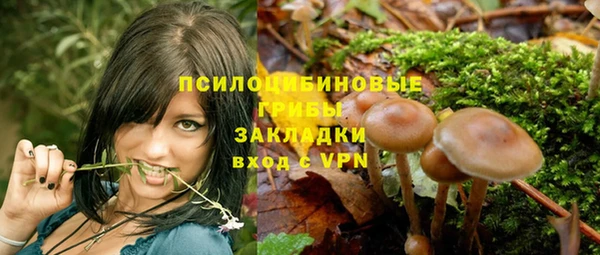 кокс Алзамай