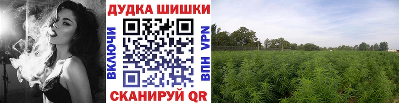 цены   Королёв  Каннабис гибрид 